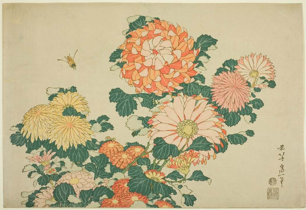 Hokusai, Chrysanthemum and Bee