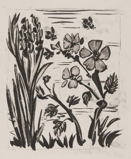 Pablo Picasso, The Bee