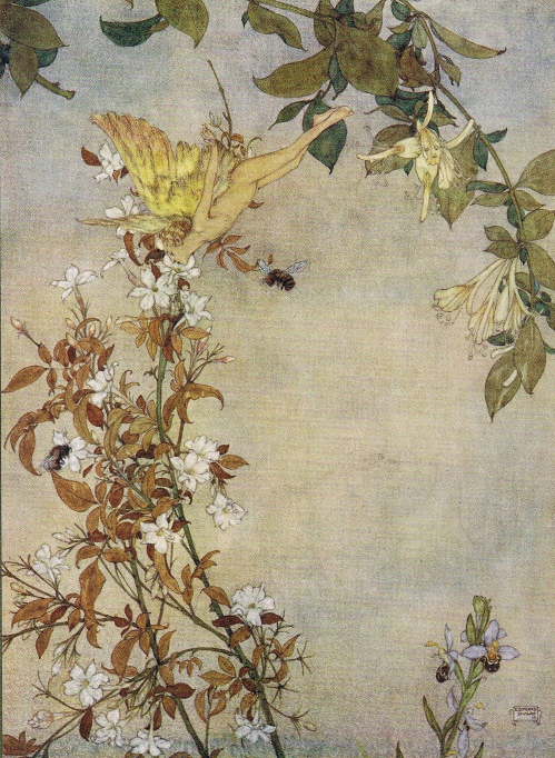 Edmund Dulac, The Tempest: Ariel and the Bee