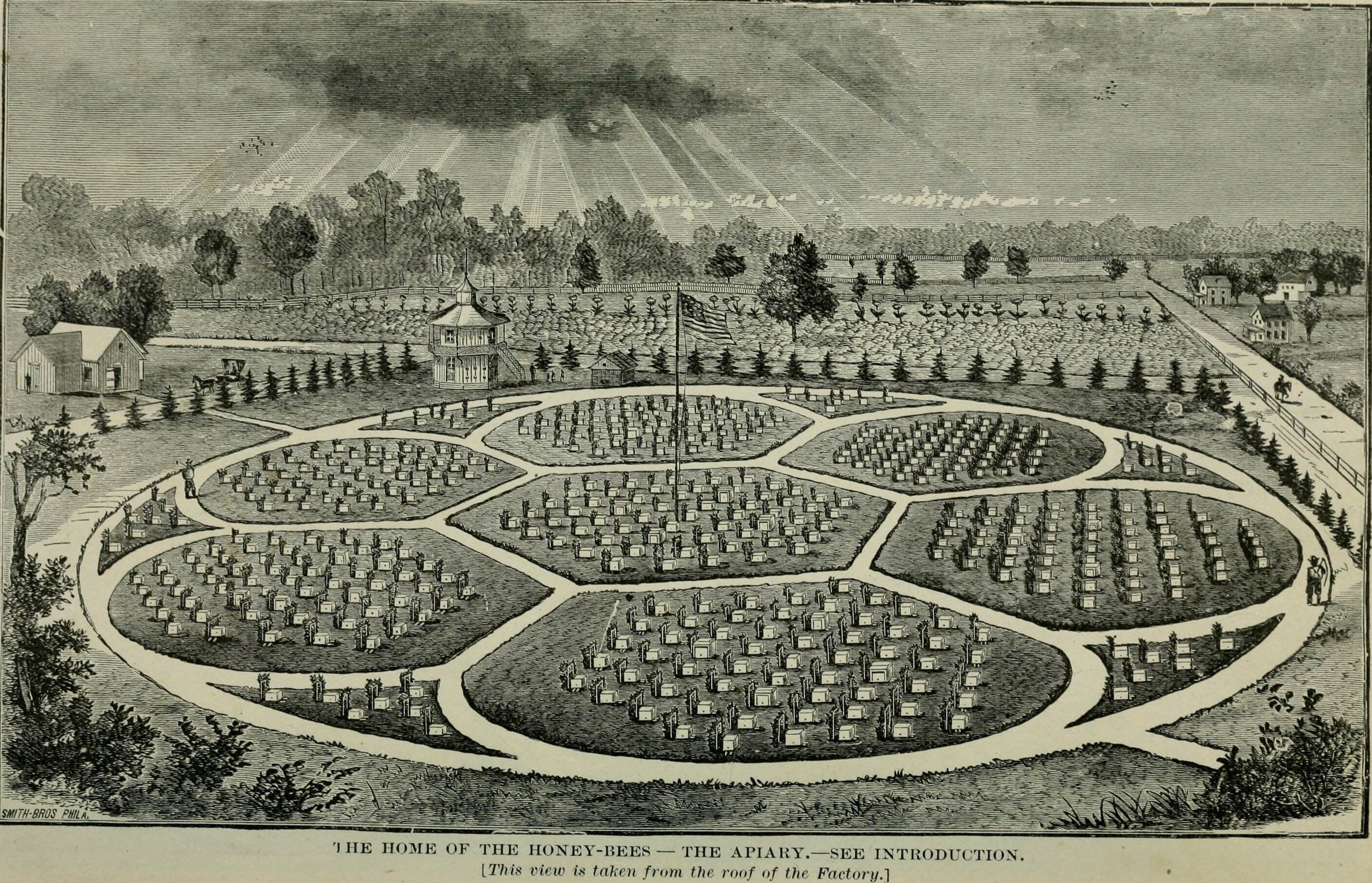 Home of the Bees, from ABCs of Bee Culture