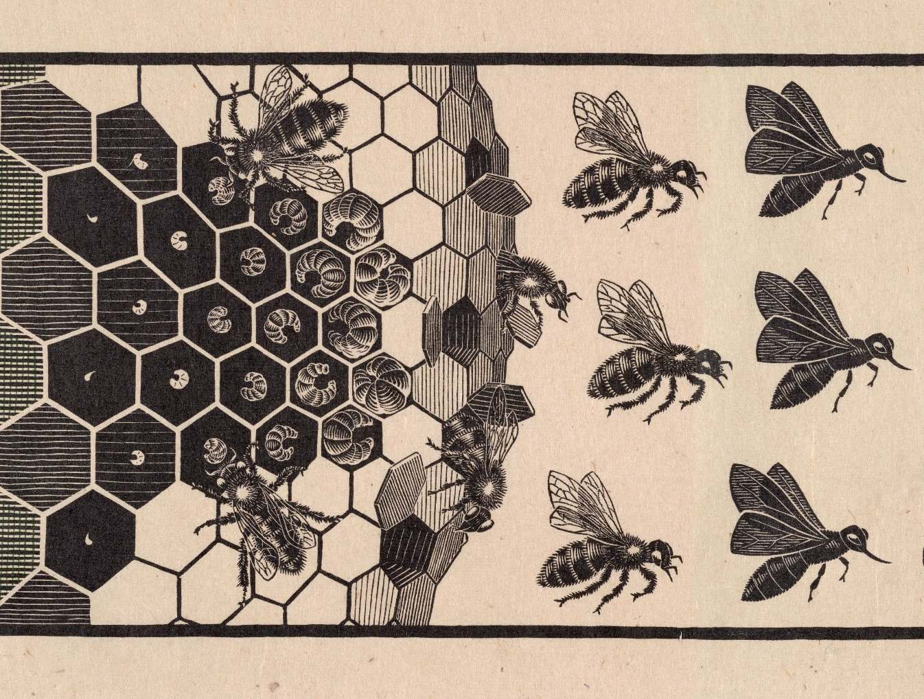 M.C. Escher, Metamorphosis II (detail)
