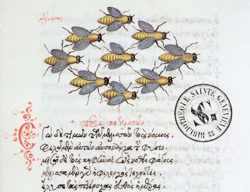 from Manuel Philes, Bestiary