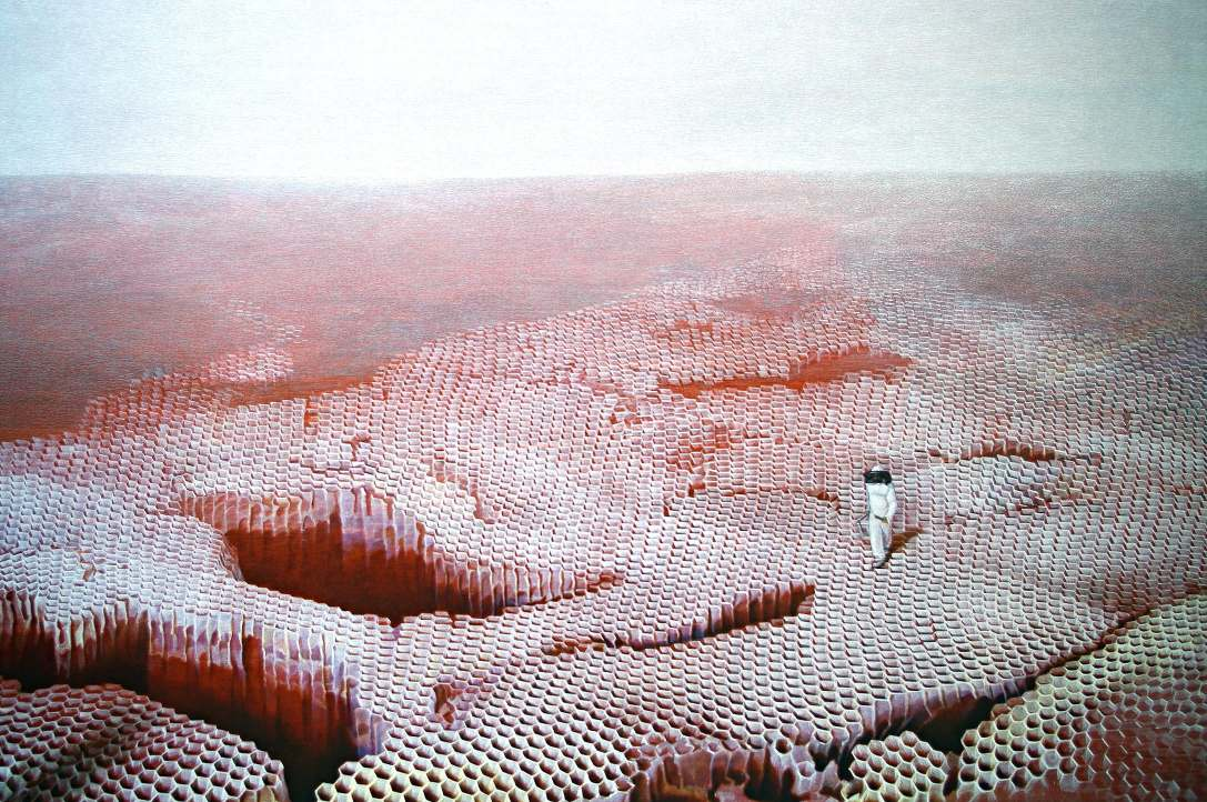 Ivan Kostolov, Astronaut