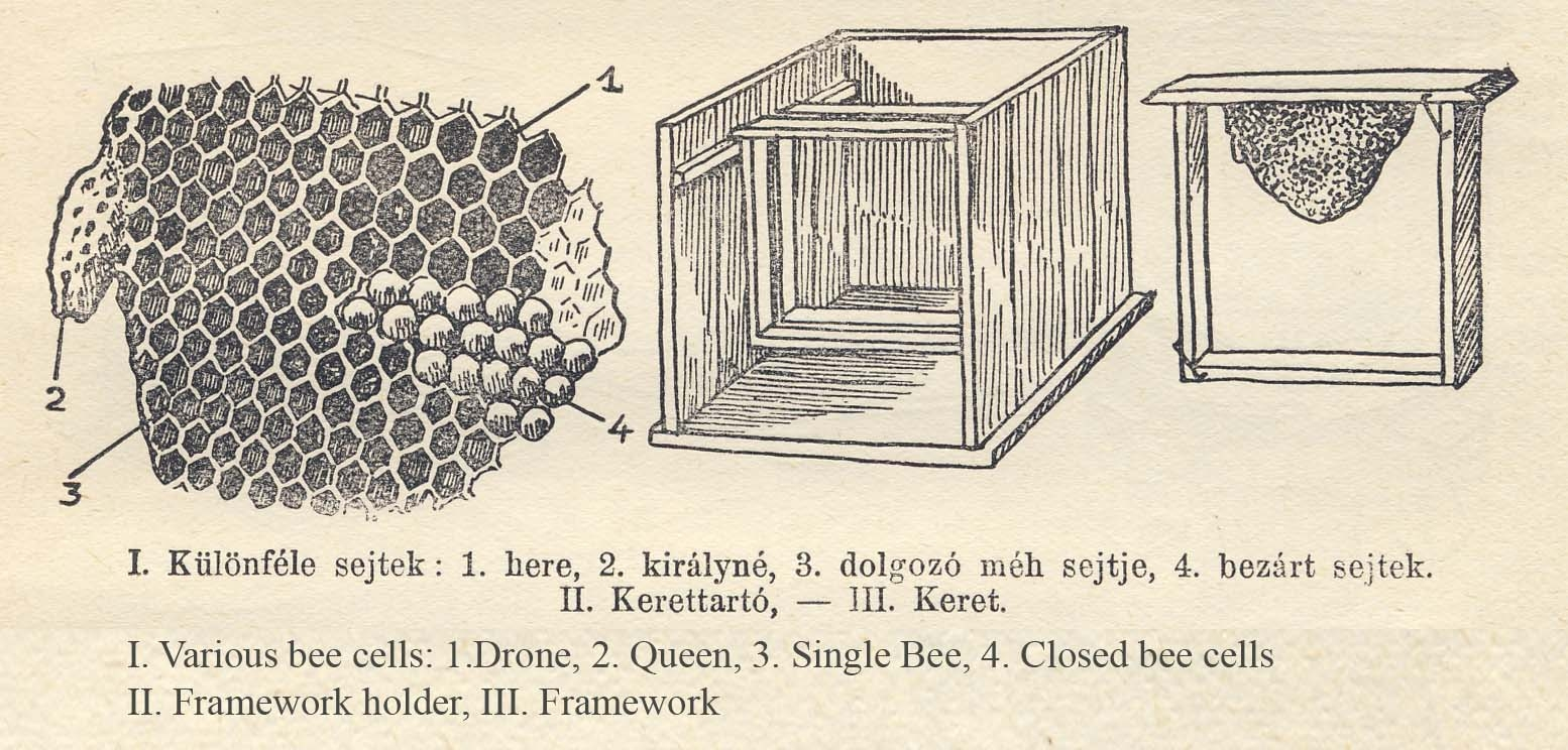 from Z. Tabori Piroska