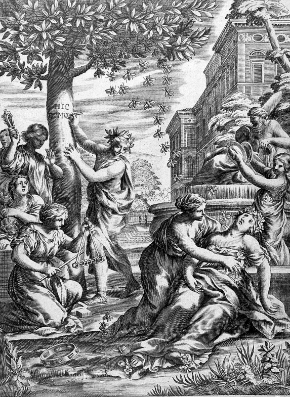 from Giovanni Battista Ferrari, Flora