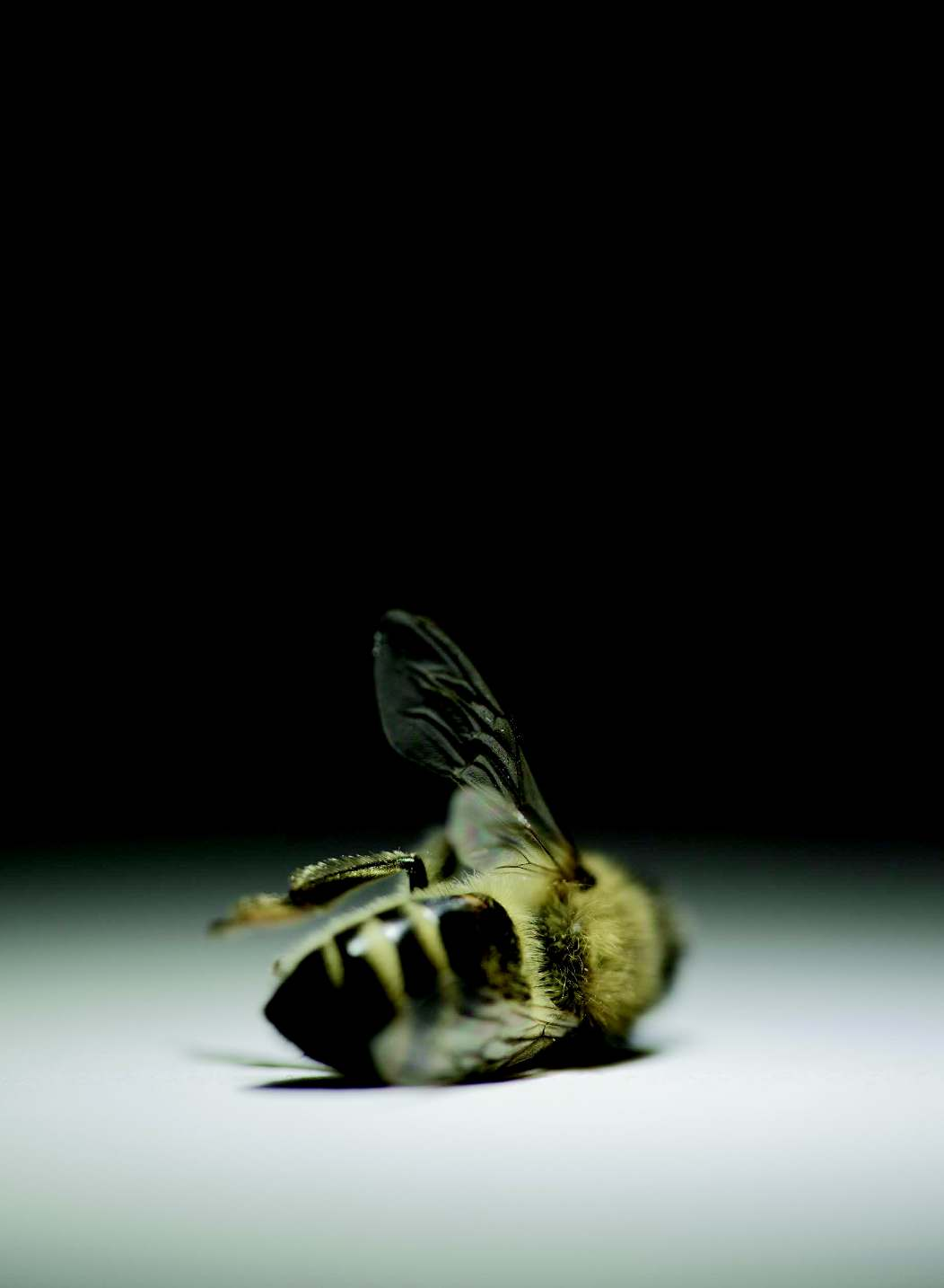 Tomáš Libertíny, The Martyr (detail)