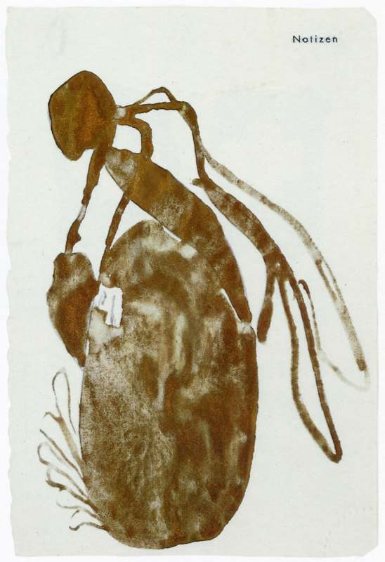 Joseph Beuys, Queen Bee