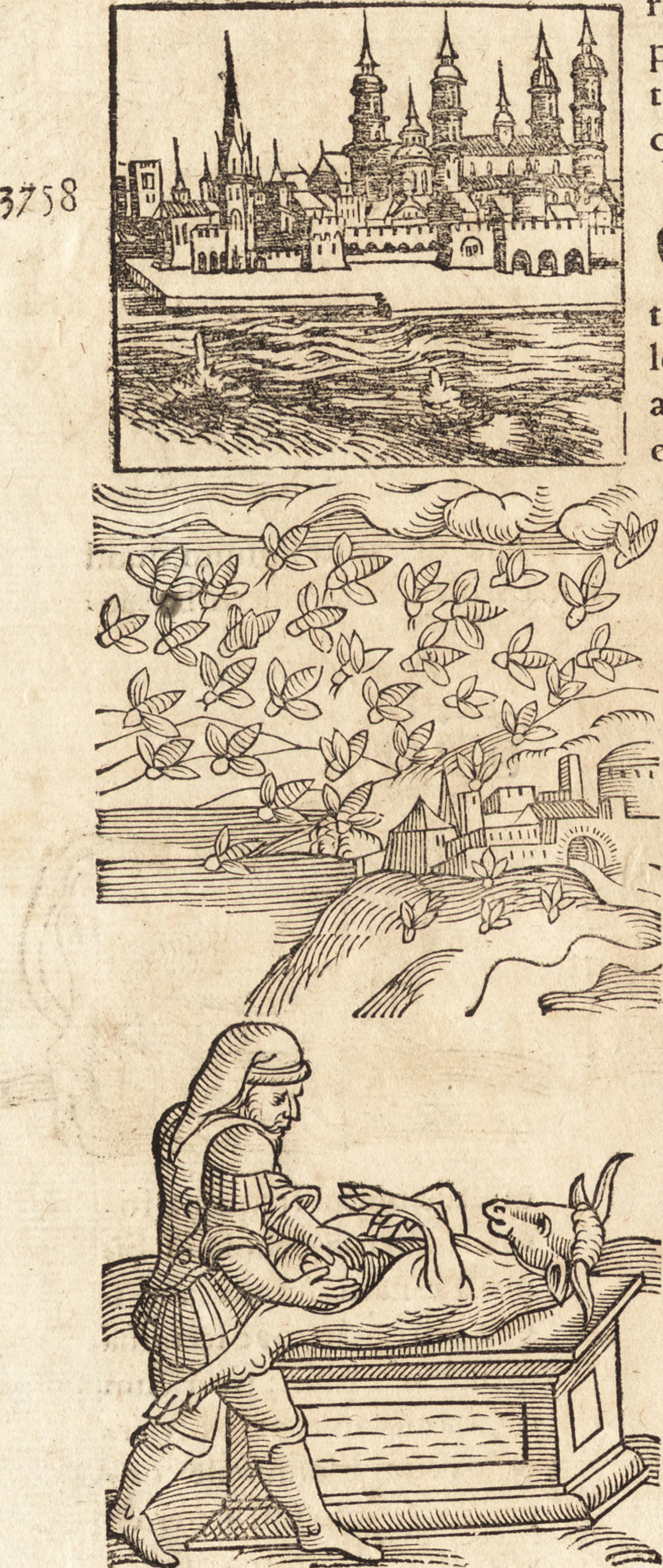 from Prodigiorvm ac ostentorvm chronicon