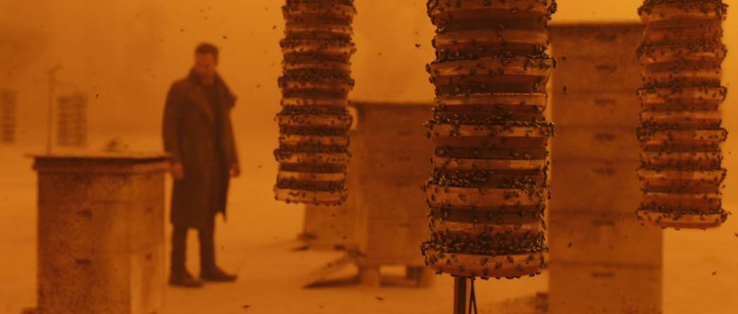 from Blade Runner 2049