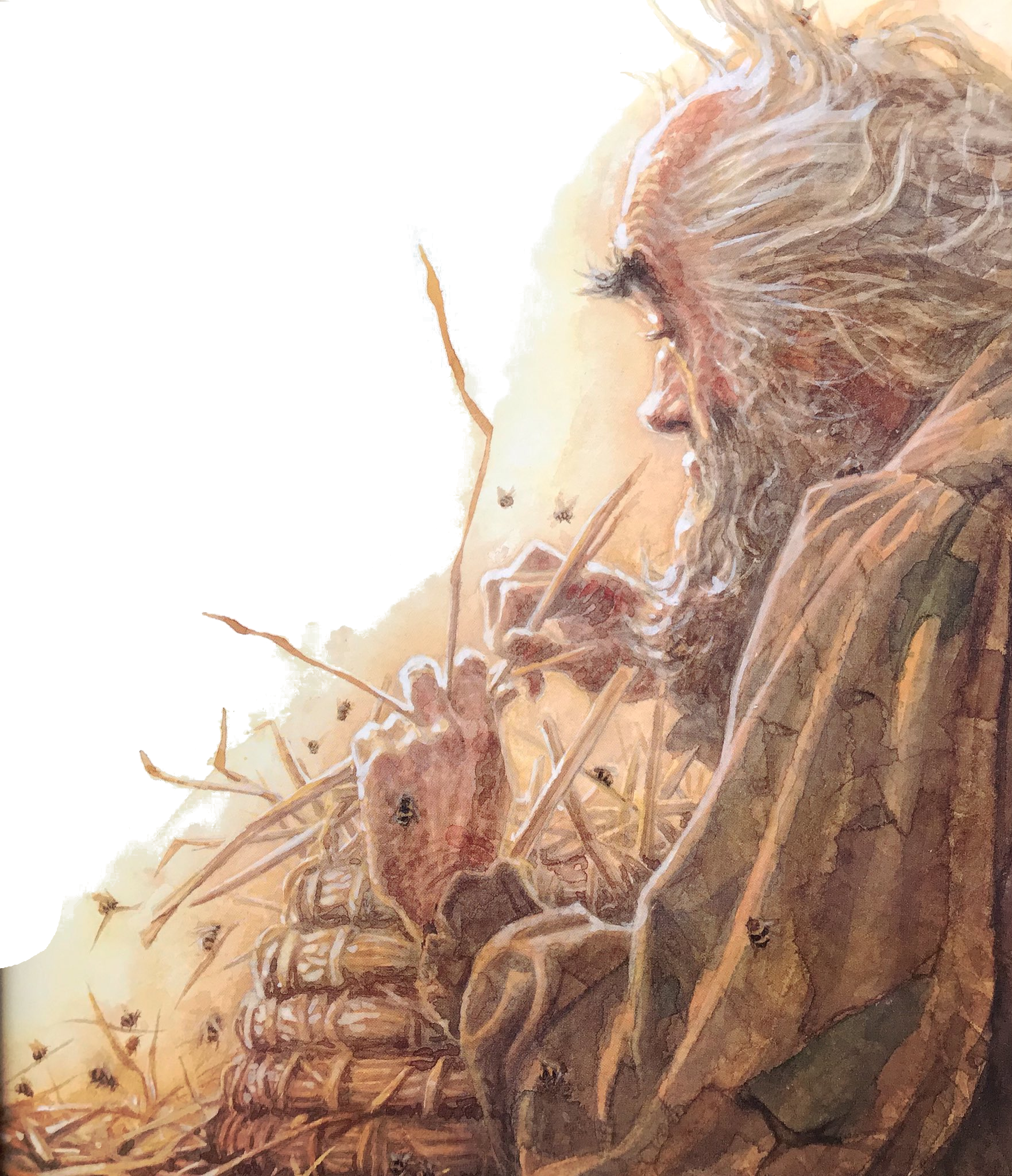 P.J. Lynch, illustration for The Bee Man of Orn