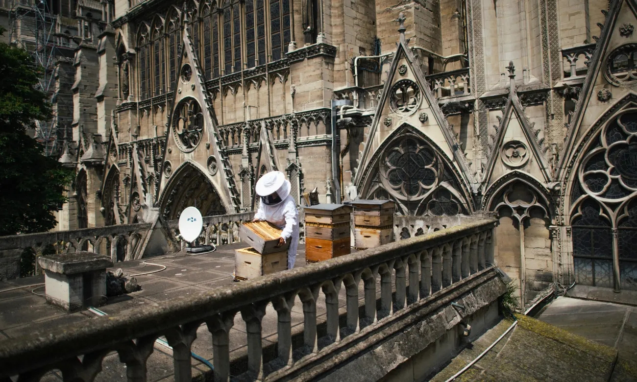 at Notre Dame Cathedral